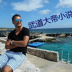 武道大帝小说