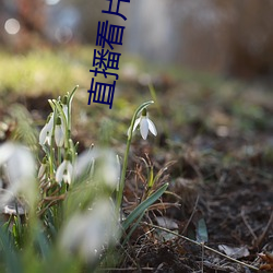 鸿运国际·(中国)会员登录入口