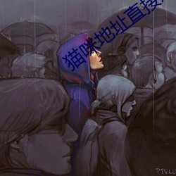猫咪地址直接进入