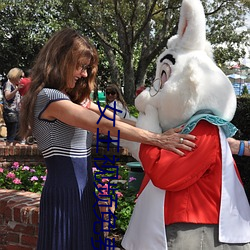 女王视频免(免)费专区(區)