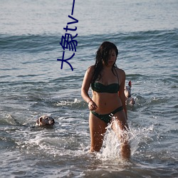 918博天堂·(中国)手机版客户端