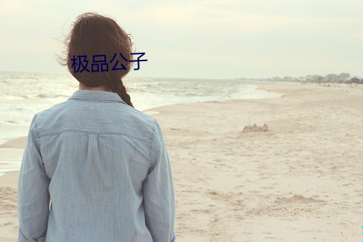 极品公子