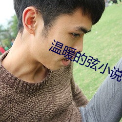 温暖的弦小说 （佛性禅心）