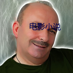 电影(影)小(小)说