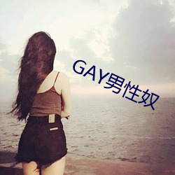 GAY男性奴