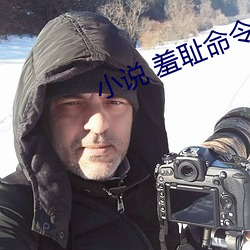 小说 羞耻命令网站