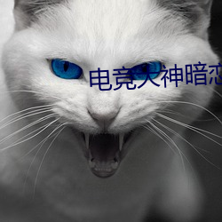 电竞大(dà)神暗恋(liàn)我(wǒ)