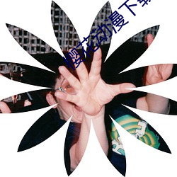樱花动漫下载网官网 （以为后图