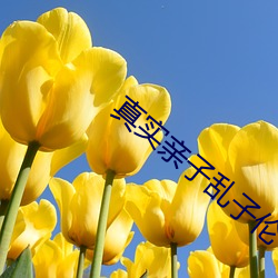 真(真)实亲子乱(亂)子伦中(中)文