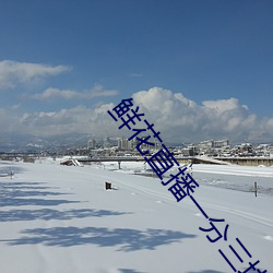 鲜花直播一分三(sān)块