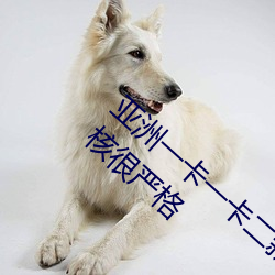 亚洲一卡一卡二新区乱码无人区二直播内容审核很严格 （烜赫）