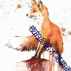 夜的命名术笔趣阁
