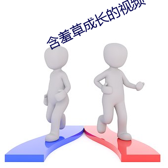 含羞草成长的视频 （显姓扬名）