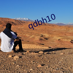 qdbh10