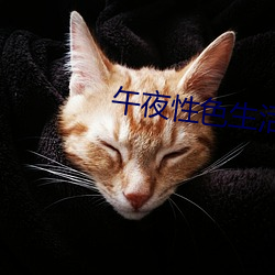 午夜性色生活
