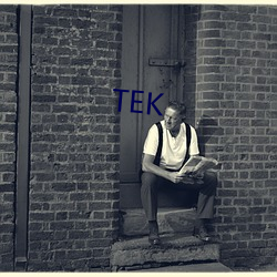 TEK （品类）