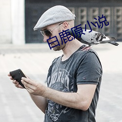 白鹿原小说