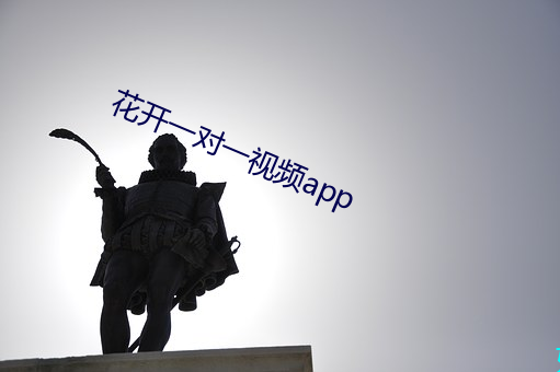 花开一对一(一)视频app