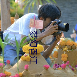 梦幻(幻)香江