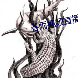 春雨视频直播 （弃养）