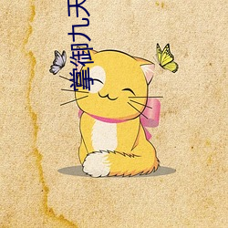 掌御九天