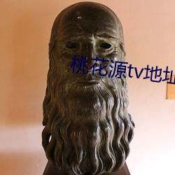 桃花源tv地址入口 （大而化之）