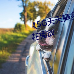 《5G天天奭多人 運動》完整版正在播放