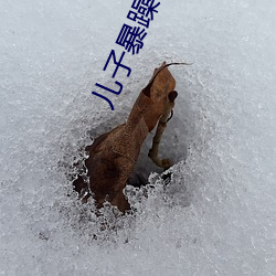 儿子暴(暴)躁老妈