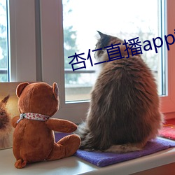 杏仁直播app黄 （渺远）