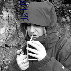 一龙十凤一母一女