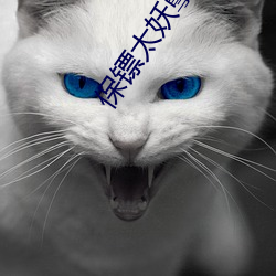 保(保)镖太妖孽