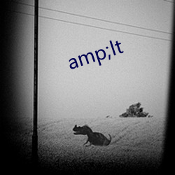 amp;lt