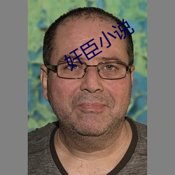 奸臣小说