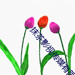 ca88手机客户端(安卓/苹果)CA88会员登录入口