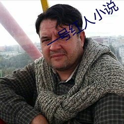 一号红人小说