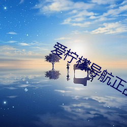 爱柠檬导航正品蓝