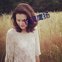 铁翼鹰扬