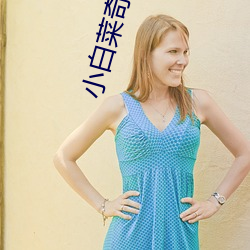 小白菜奇案全集