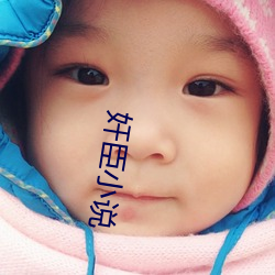 奸臣小说