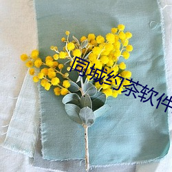 同城約茶軟件靠譜嗎
