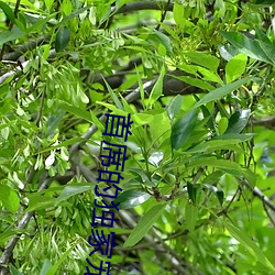 米乐M6·(中国)官方网站