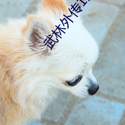 武林(l��n)外传1至80集免费观看(k��n)