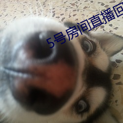 AG真人平台(中国)官方网站