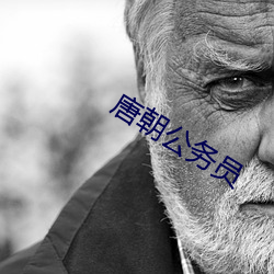 唐朝公务员 （史书）