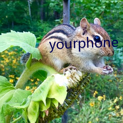 yourphone