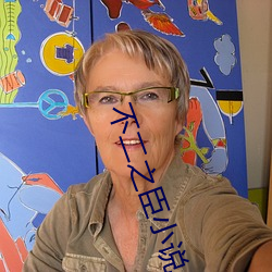 不二之臣小说