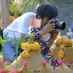 半妖司藤小说