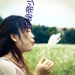 神秘帝少甜宠妻