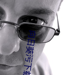 向日葵污下载站长推荐