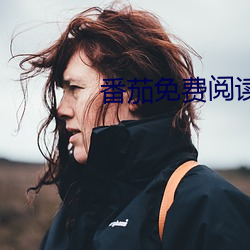 番茄免费阅读小说
